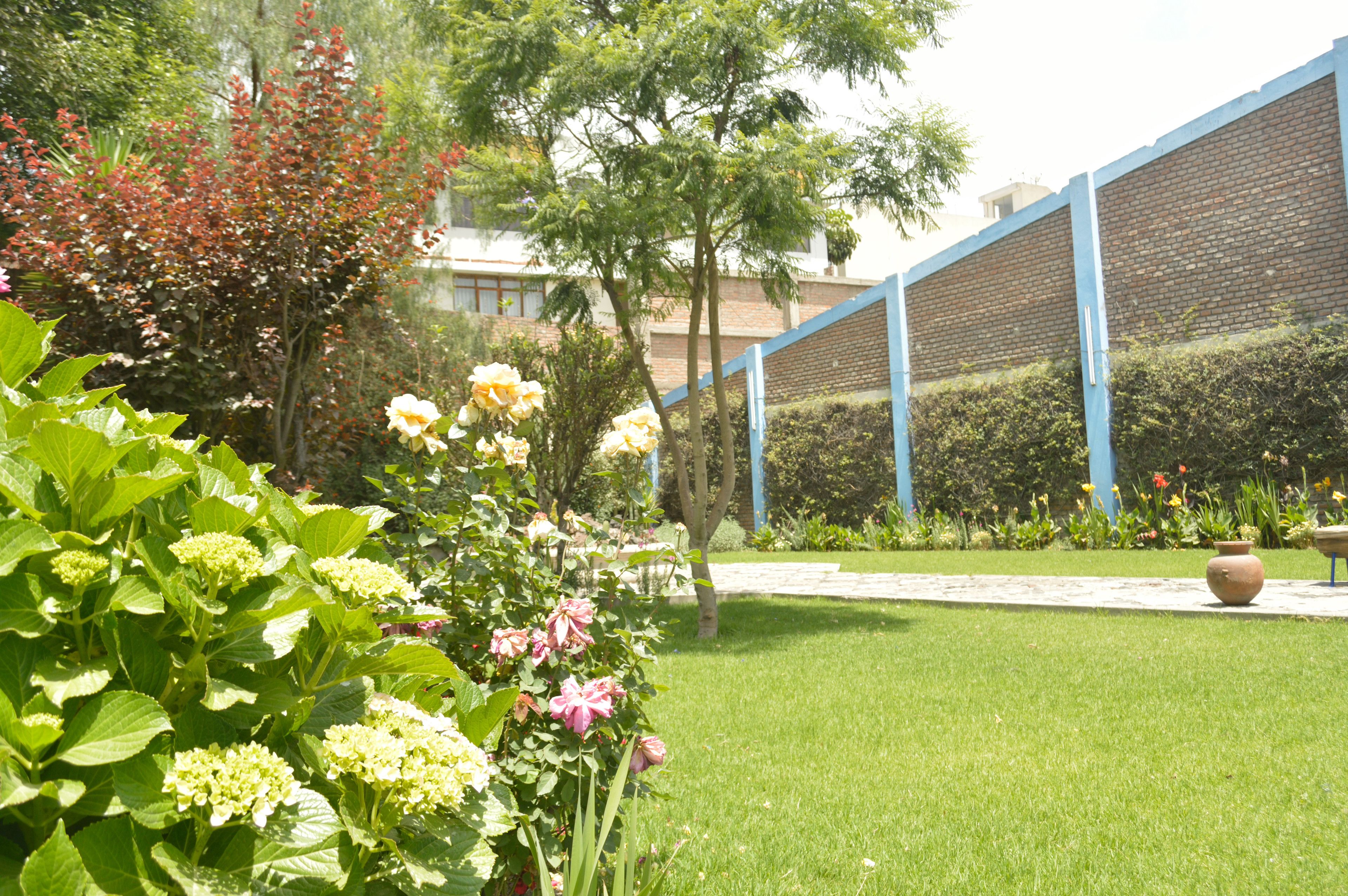 Un jardín bien cuidado con diversas flores y arbustos, un muro de ladrillo y un sendero.