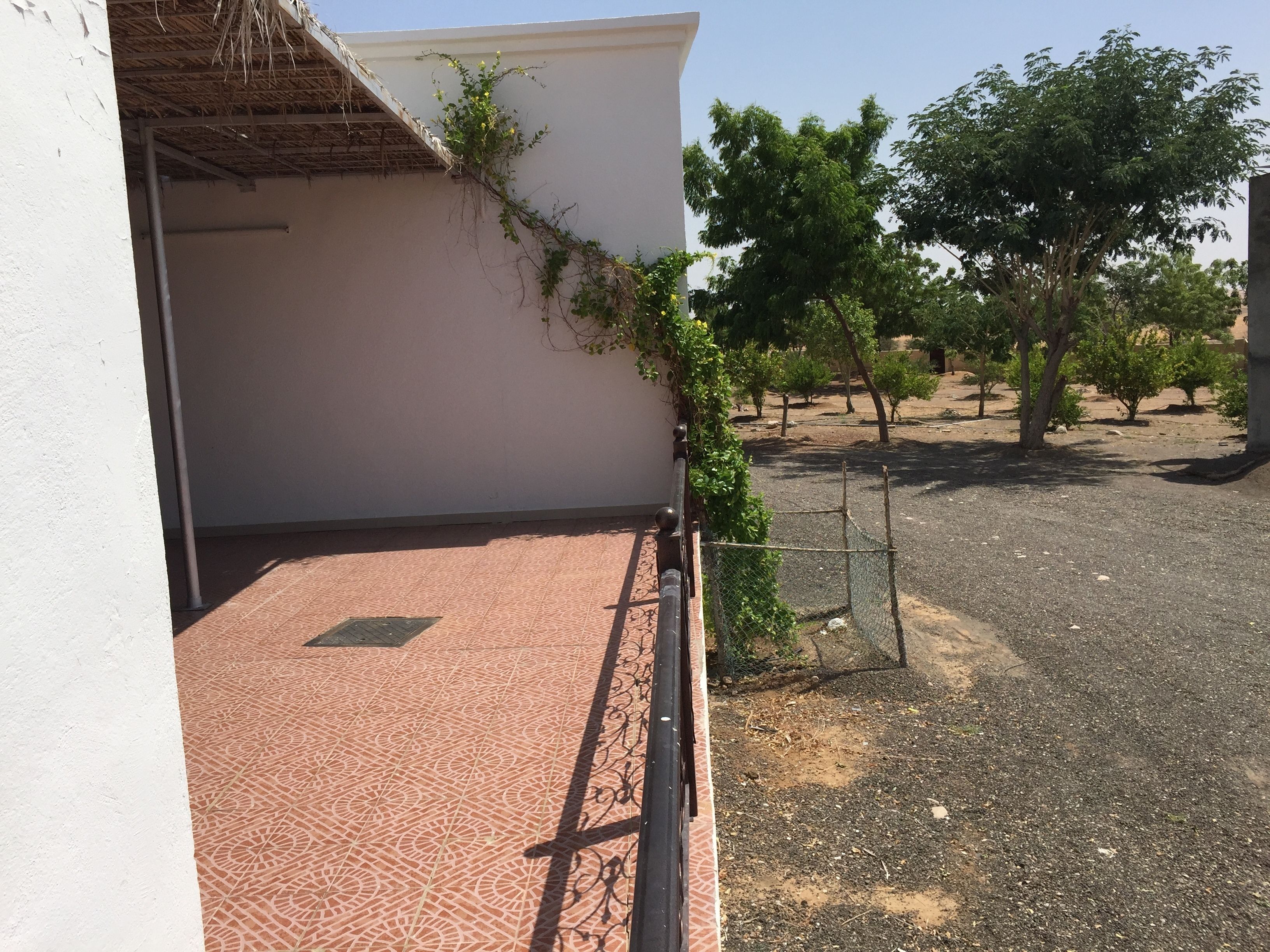 Jardin