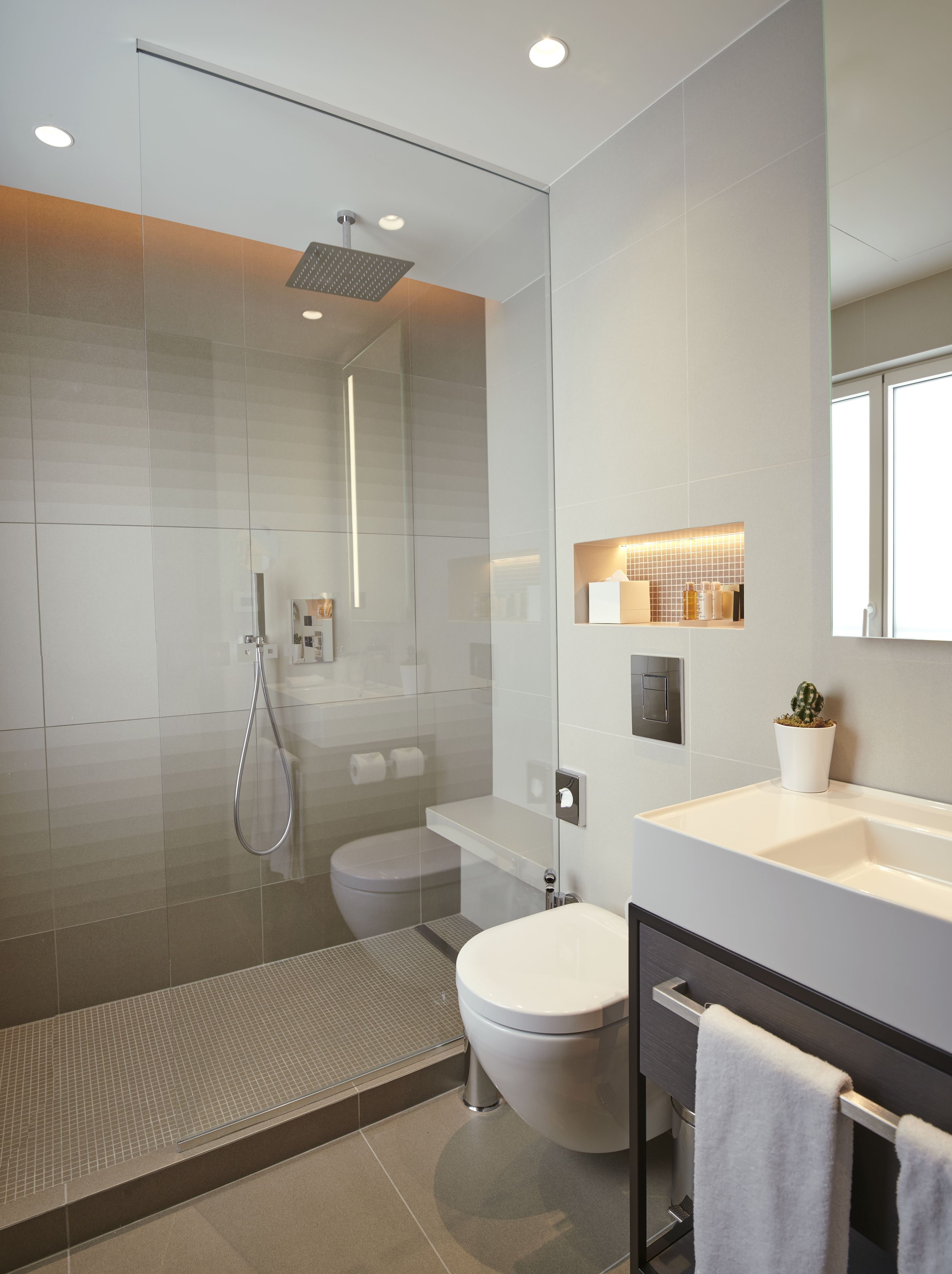 A modern bathroom with a glass-enclosed shower, a toilet, and a vanity with a mirror.