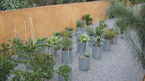 Un jardín en la azotea con diversas plantas en macetas dispuestas de forma organizada.