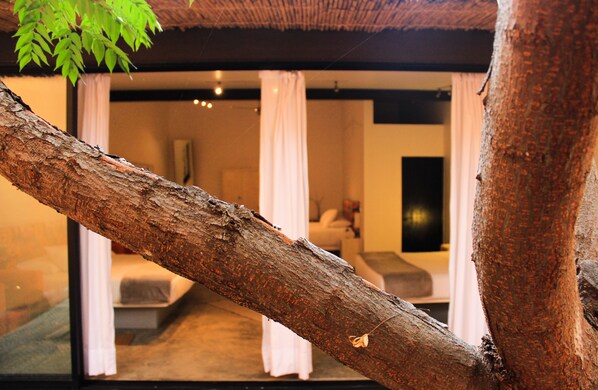 Standard Room | Premium bedding, down comforters, pillowtop beds, individually decorated