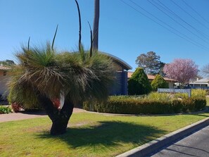 Exterior detail - Banksia Motel Collie (Collie)