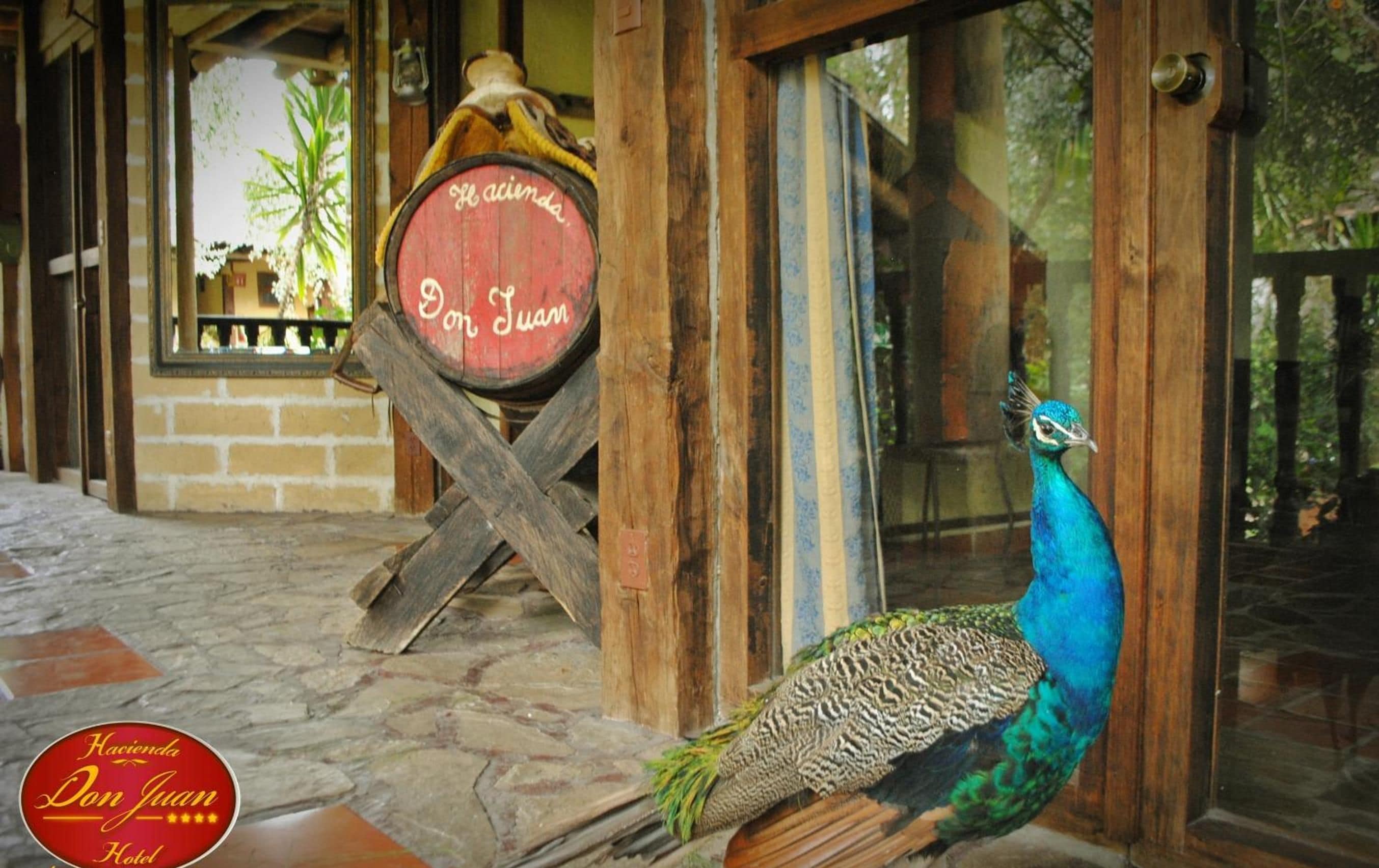 Foto - Hotel Azulejos