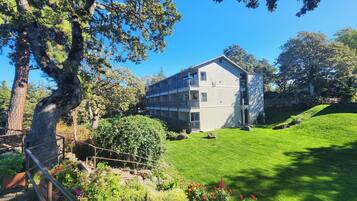 Literie de qualité supérieure, surmatelas, rideaux occultants