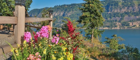 Outdoor wedding area