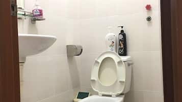Shower, free toiletries, hair dryer, slippers
