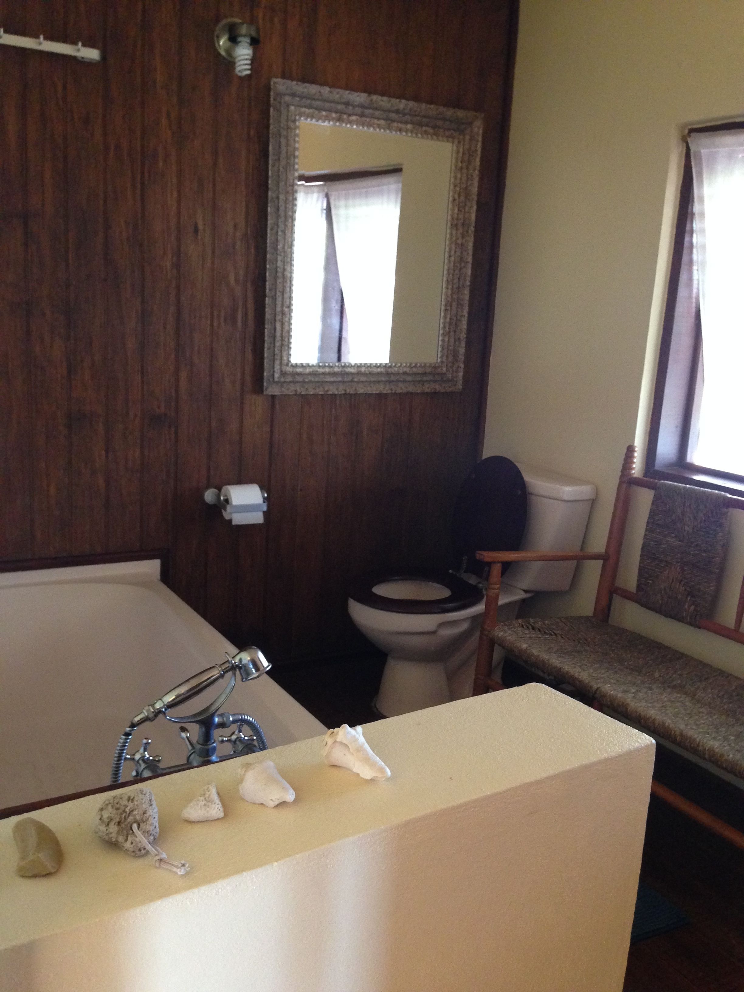 Combined shower/bathtub, deep-soaking bathtub, hair dryer, towels
