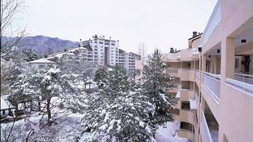 Vista desde la propiedad