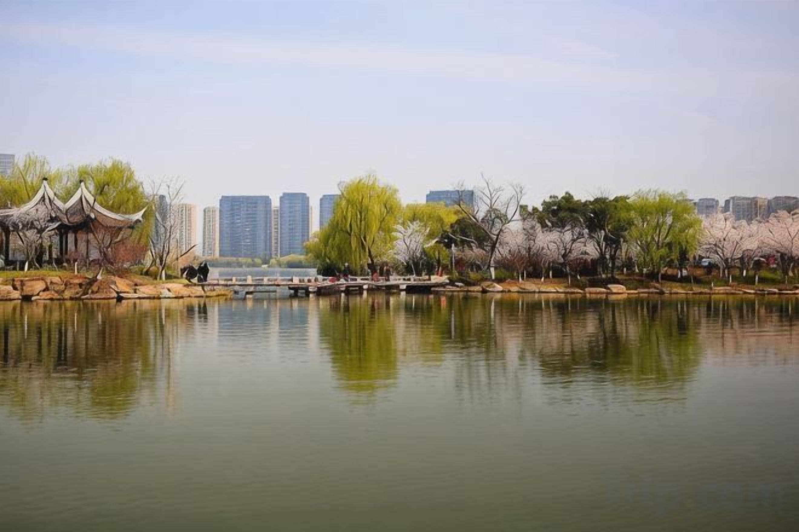 A calm lake with a traditional pavilion and cherry blossoms in the foreground, a bridge, and high-rise buildings in the background.