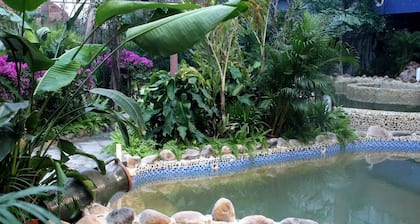 Liaocheng Arcadia International Hotspring Hotel