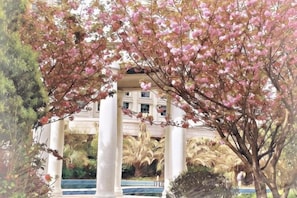 A gazebo with columns, surrounded by pink flowering trees.