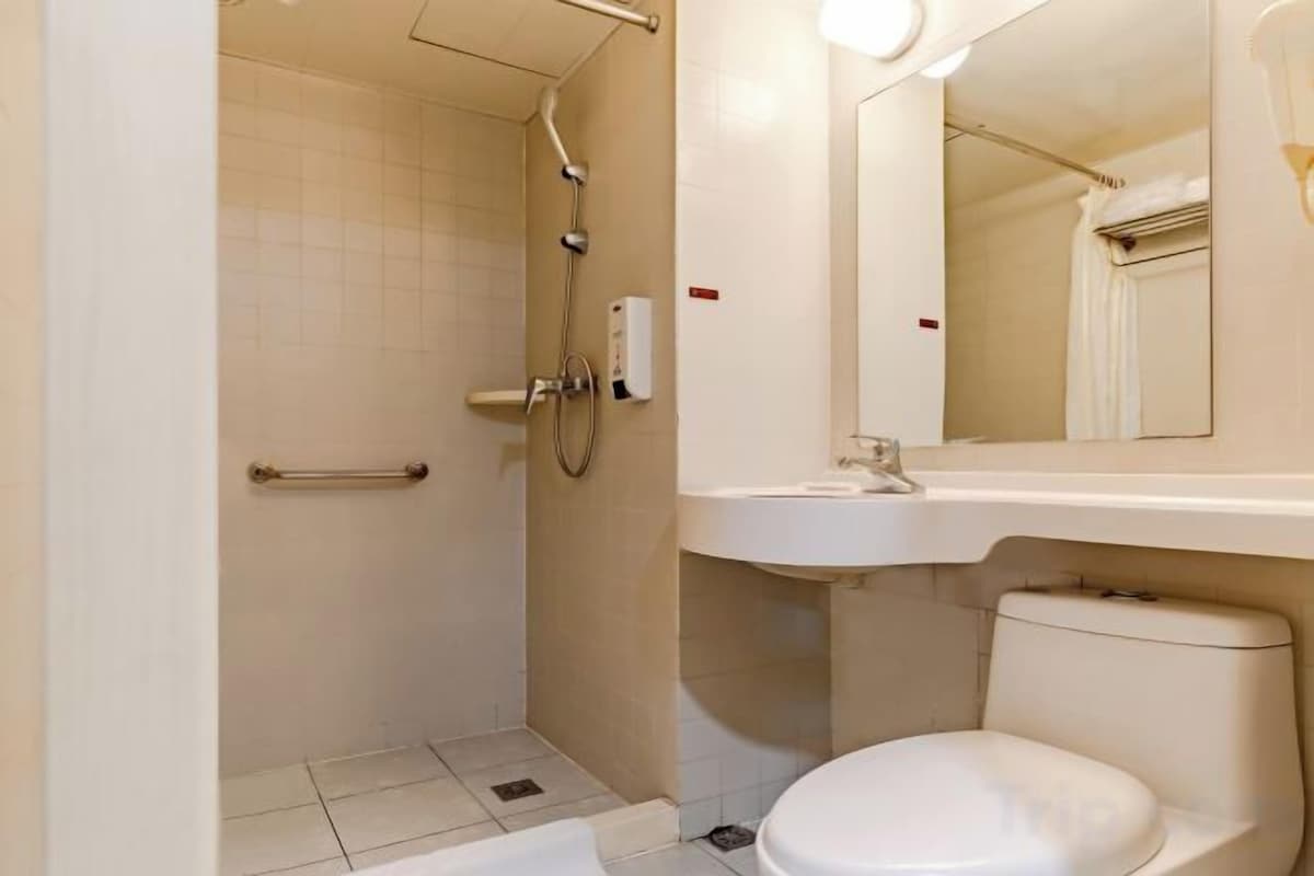 Een badkamer met douche, toilet, wastafel en spiegel.