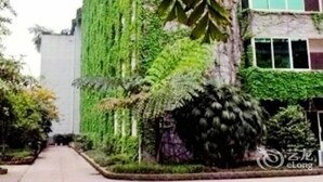 Ảnh chưa phân loại, 3 trong số 54 ảnh, nút