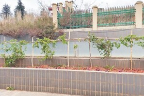 المنطقة المحيطة بالمنشأة