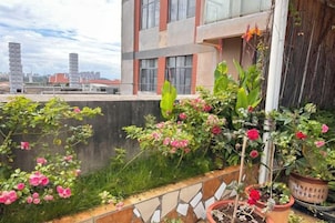 Un jardín en la azotea con plantas y flores en macetas, un muro de baldosas y un edificio al fondo.