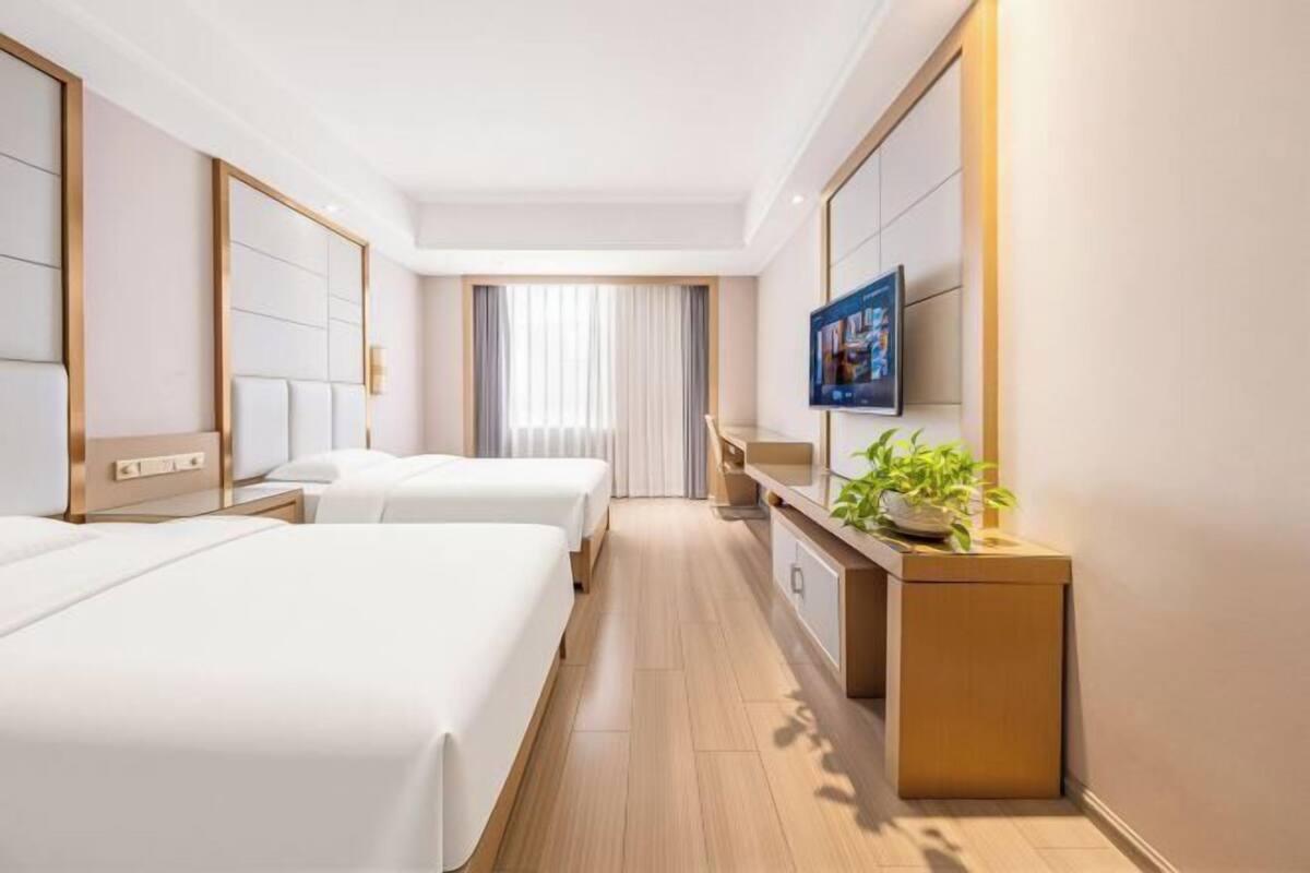 A hotel room with two beds, a desk, a TV, and a plant.