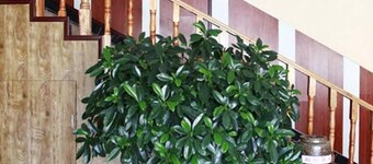 Chengwaicheng Inn Mojiang