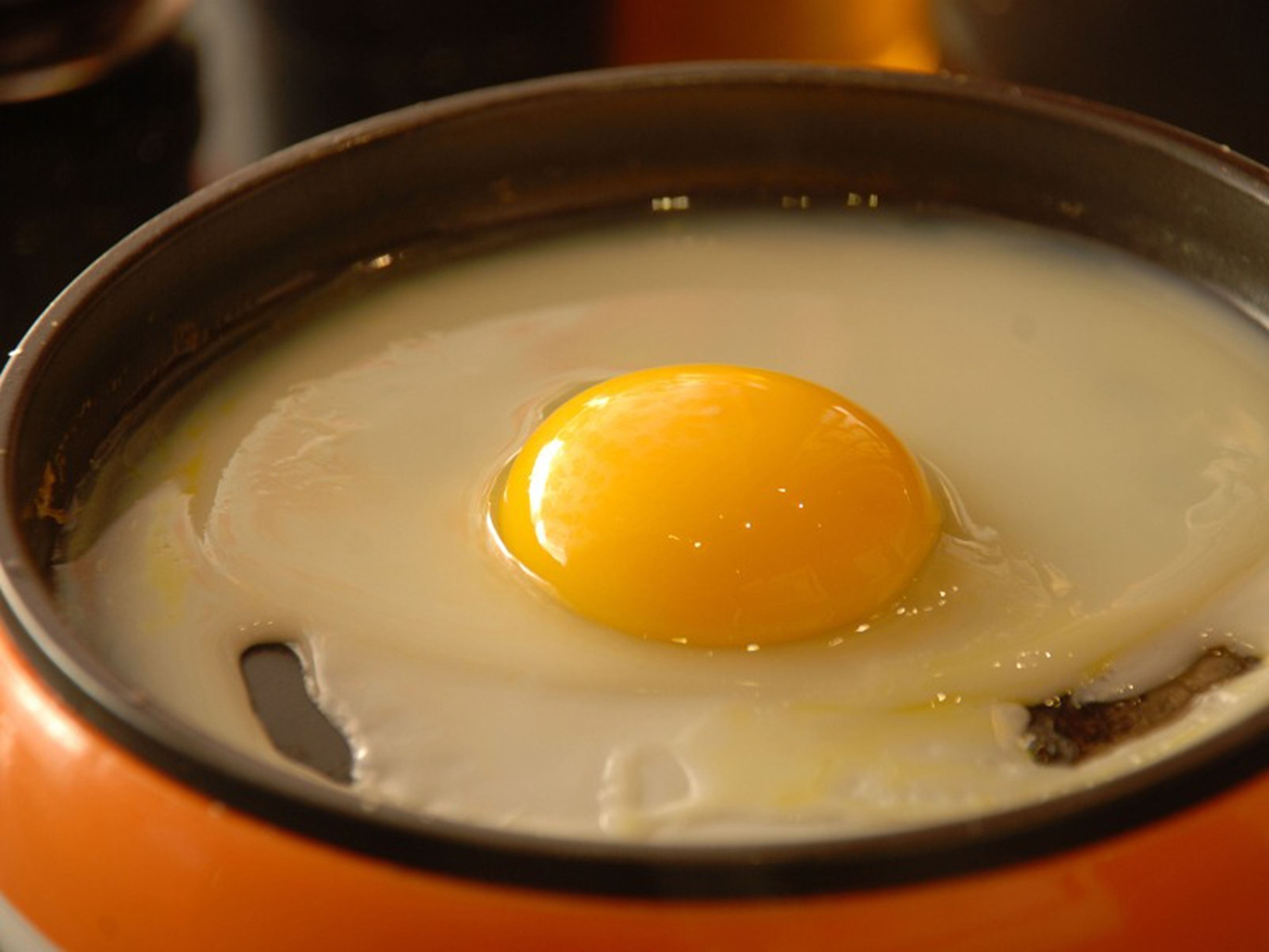 식사 및 음료