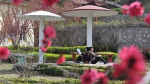 Property grounds - Longshan Hotel (Handan)