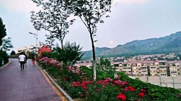 Khuôn viên nơi lưu trú