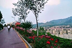 Property grounds - Longshan Hotel (Handan)