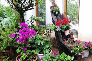 Une variété de plantes et de fleurs en pot, disposées dans un jardin.