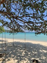Una playa con agua azul cristalina, orilla de arena y árboles con ramas colgantes.