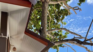 Um deck de madeira com uma escadaria de pedra que leva a um espaço coberto, com vista para uma praia e oceano.