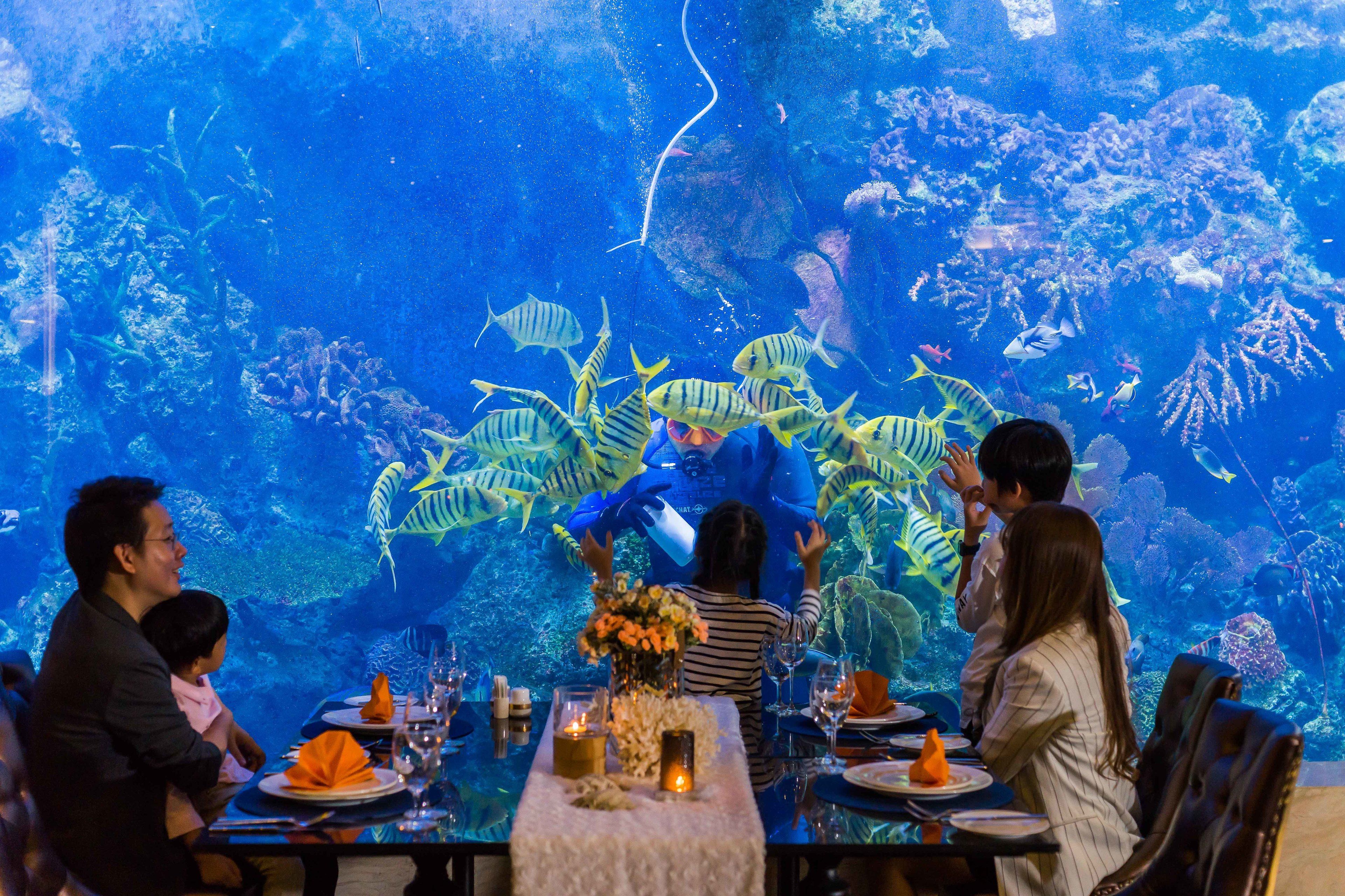A dining table with a view of an aquarium.