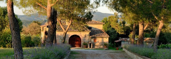 Exterior - Agriturismo Antico Podere Siliano (Citta della Pieve)
