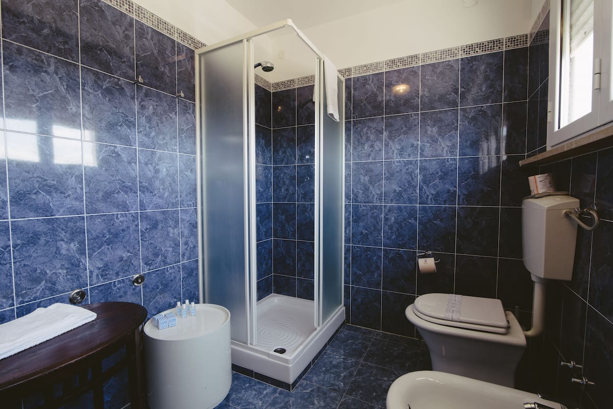 shower, free toiletries, hair dryer, towels