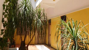 Un patio con plantas en macetas, suelo de baldosas y pared amarilla.