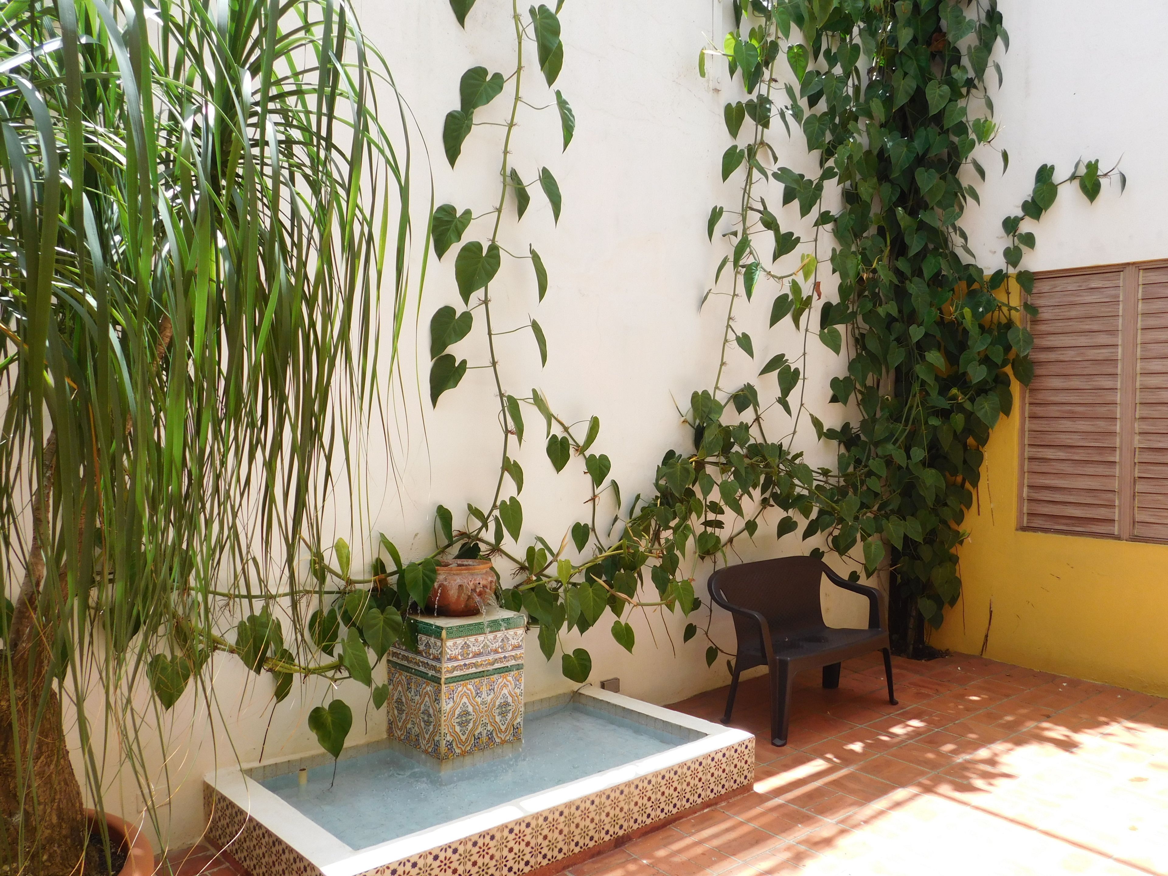 A small outdoor area with a tiled water feature, a chair, and various plants against a wall.