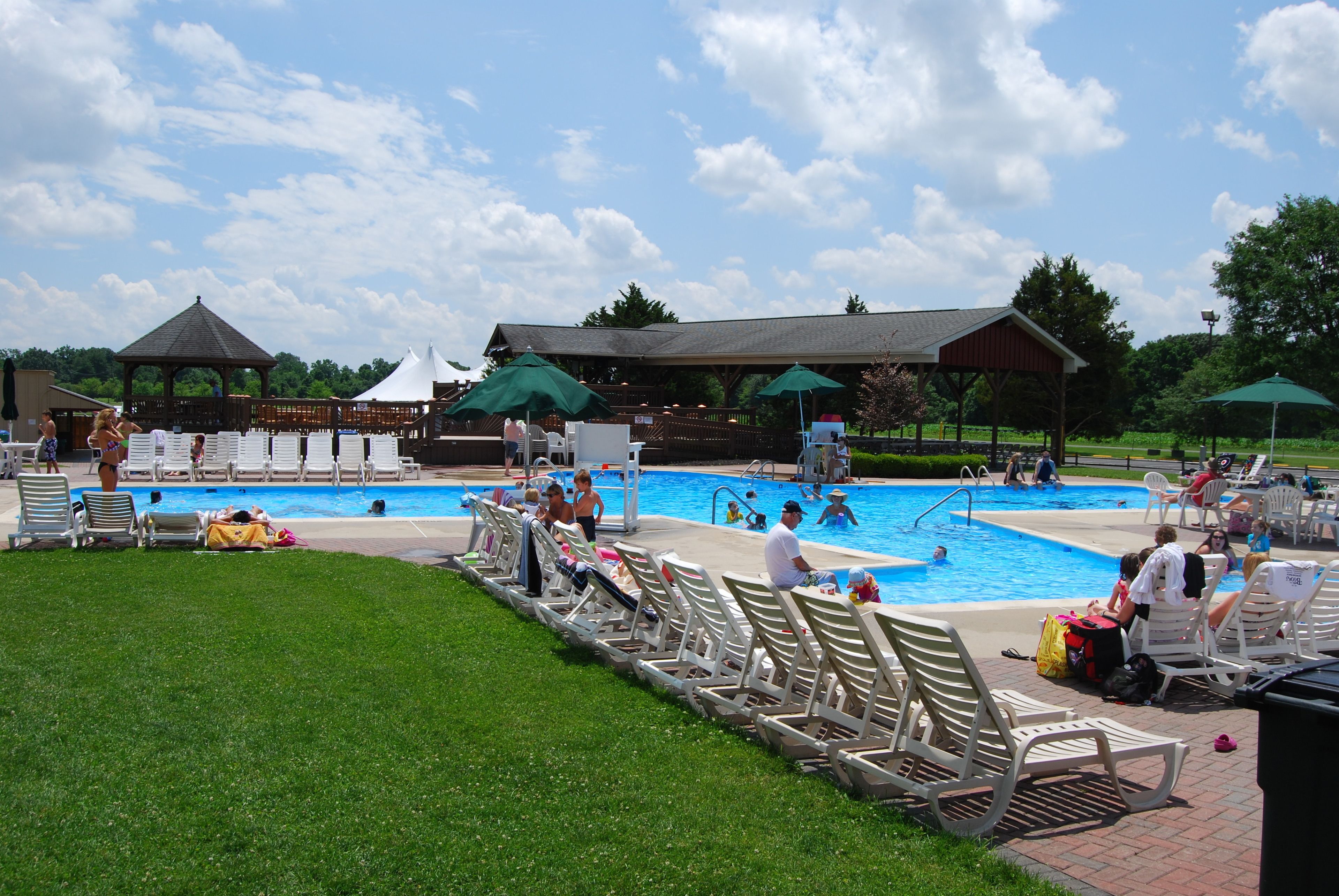 Seasonal outdoor pool, sun loungers