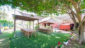 Un espace extérieur abrité, aménagé pour les repas, avec des tables et des chaises en bois, entouré d’un jardin agrémenté de plantes en pot et d’un grand arbre qui offre de l’ombre.