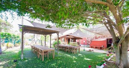 Gay Artemisa - Gay Men Only