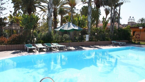 Une piscine entourée de palmiers et d’une clôture, avec des chaises longues et des parasols.