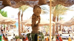 2 barer/lounger