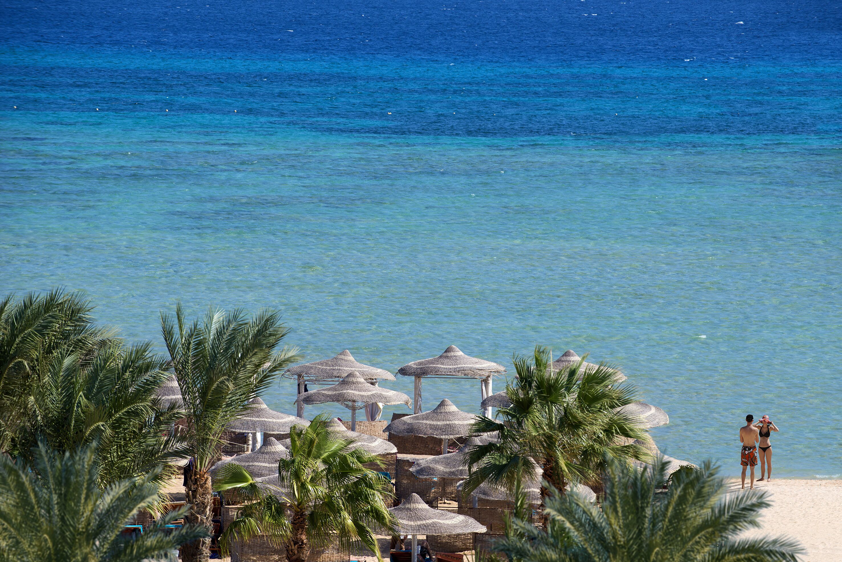 A beach with thatched umbrellas and palm trees.