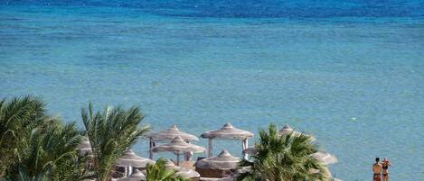 A beach with thatched umbrellas and palm trees.