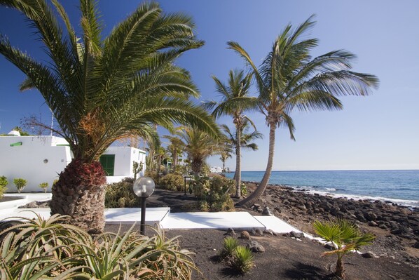 Garden - Velazquez (Tías)