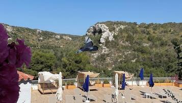 Outdoor pool, pool loungers