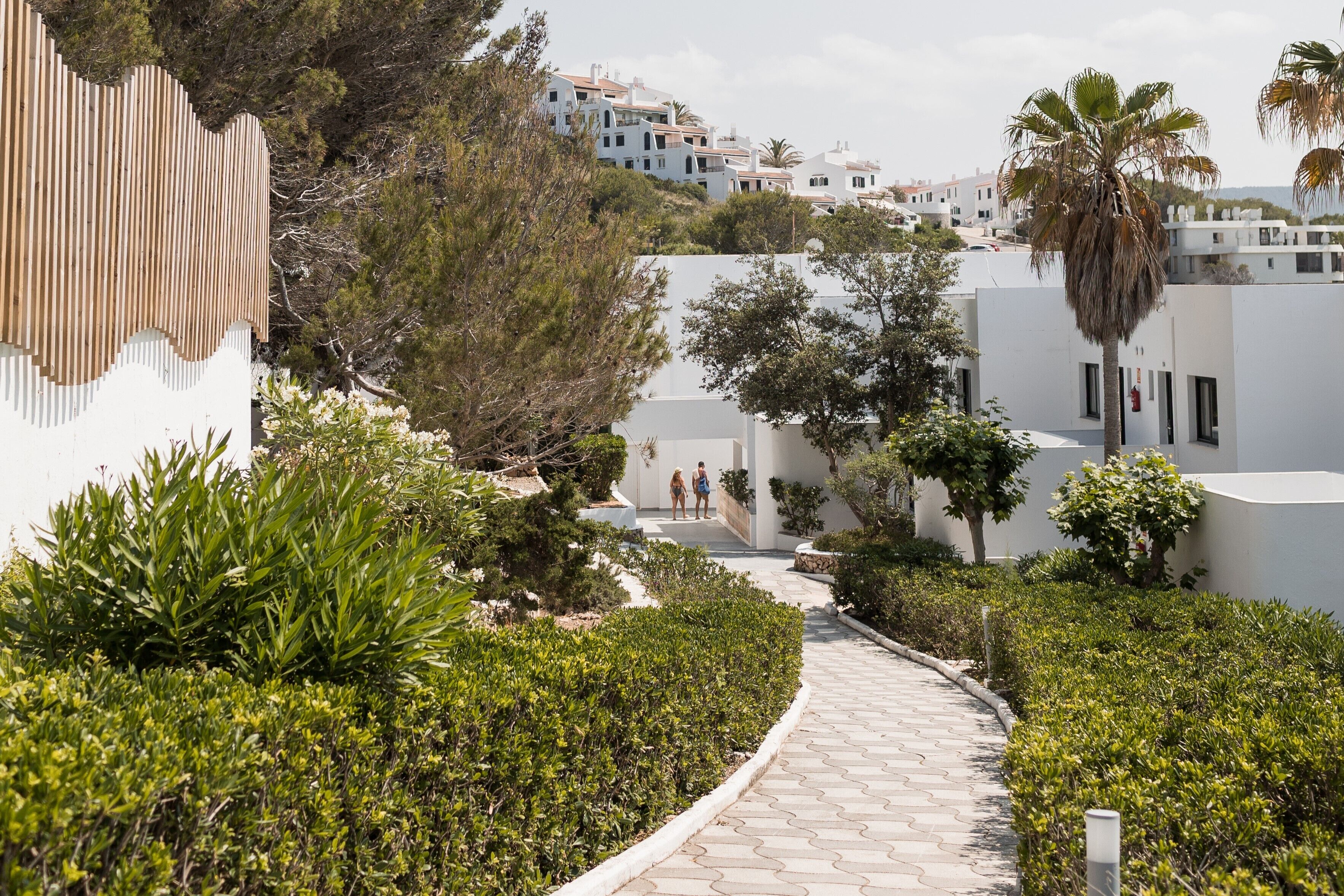 A pathway leading to a building with a white exterior, surrounded by greenery and palm trees.