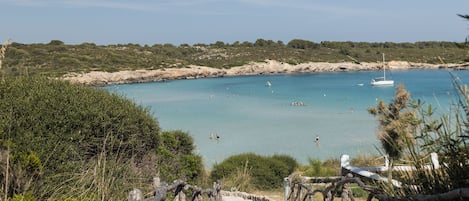 Vista desde la propiedad