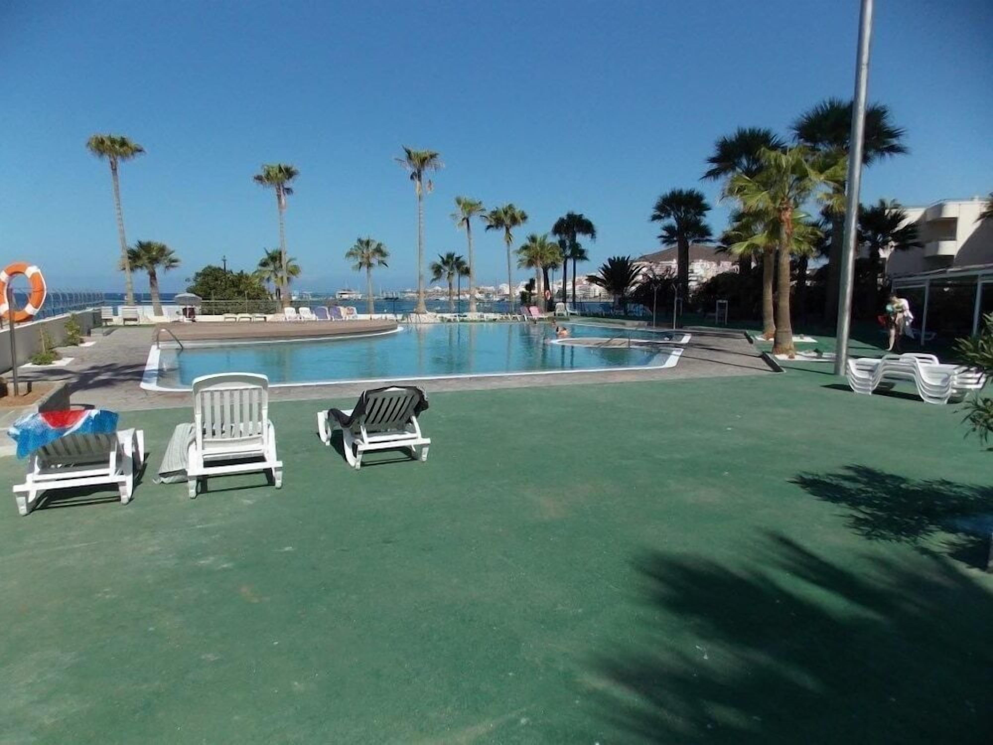 Un espace piscine avec des chaises longues, des palmiers et une vue sur l’océan.