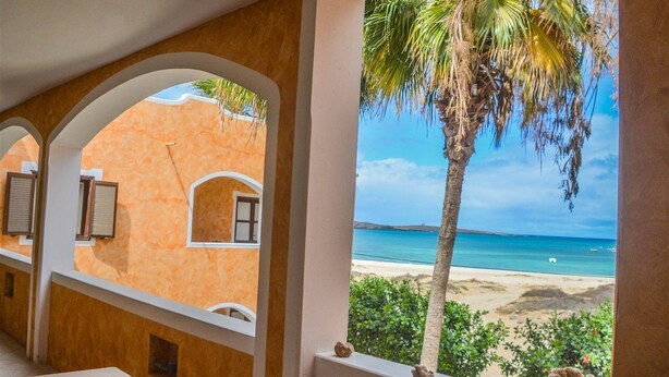 Ein Zimmer mit Blick auf einen Strand und eine Palme.