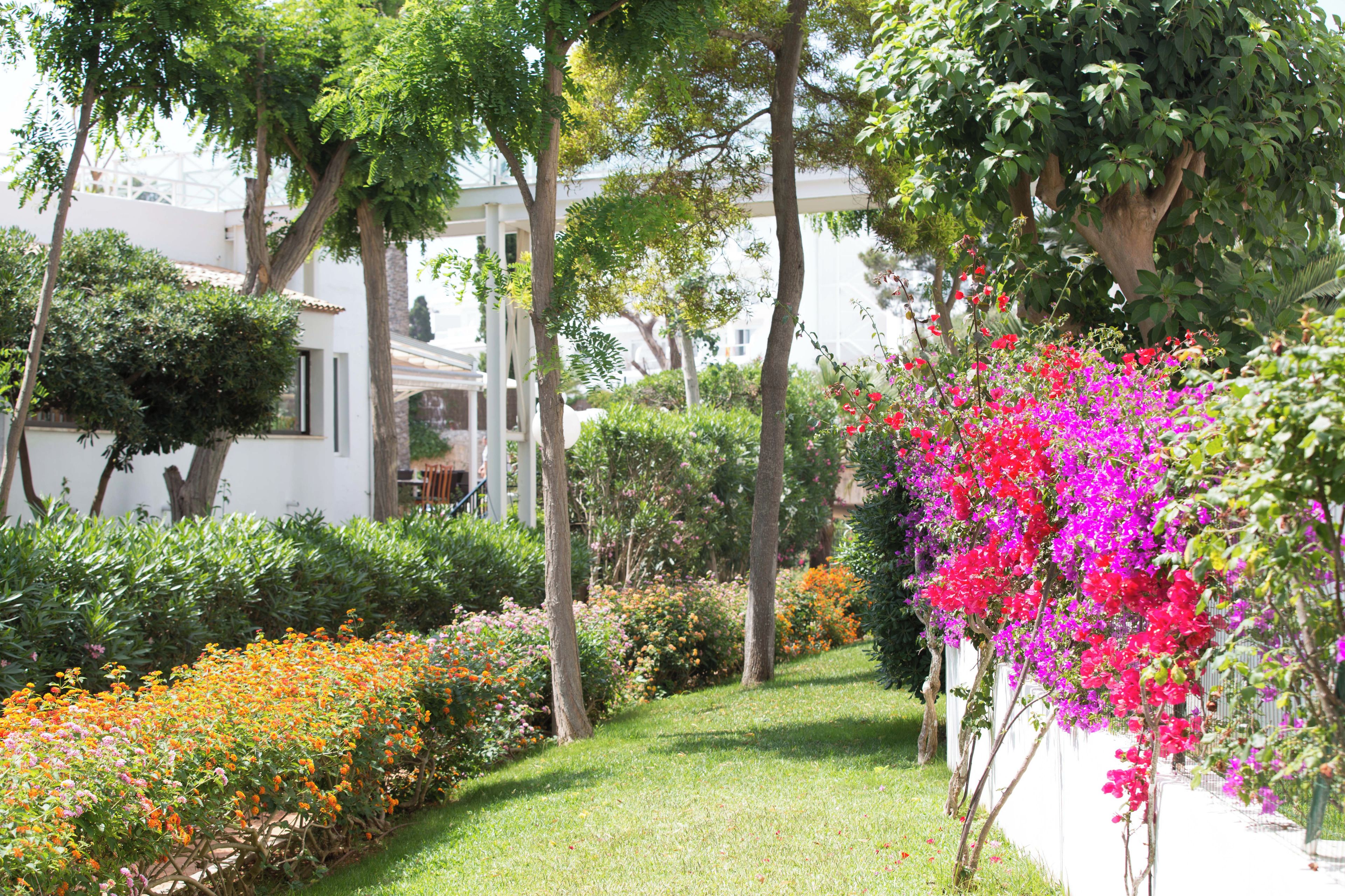 A garden with a variety of flowering plants and trees, a pathway, and a building in the background.