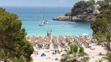 Vue sur la plage/lâocĂ©an