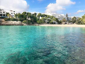 On the beach, scuba diving