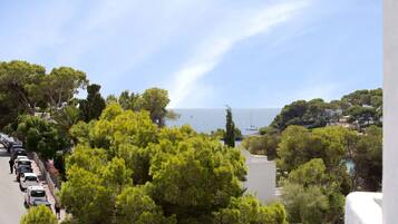 Beach/ocean view